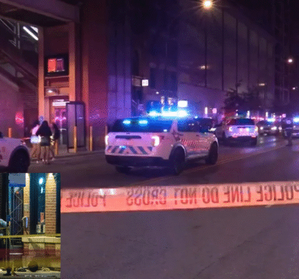 A mass shooting outside Chicago's Artis Lounge in the River North area left four people dead and fourteen others wounded